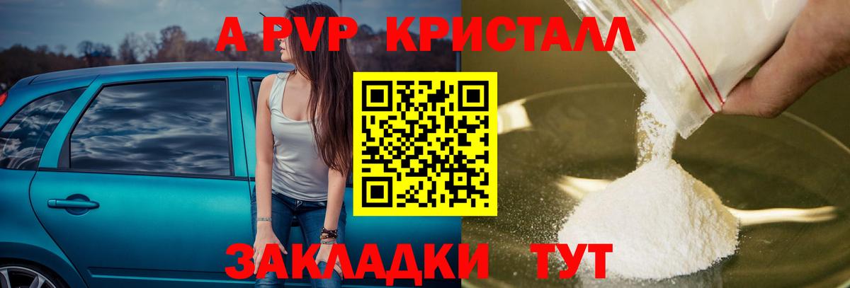 Alpha PVP СК Тамбов
