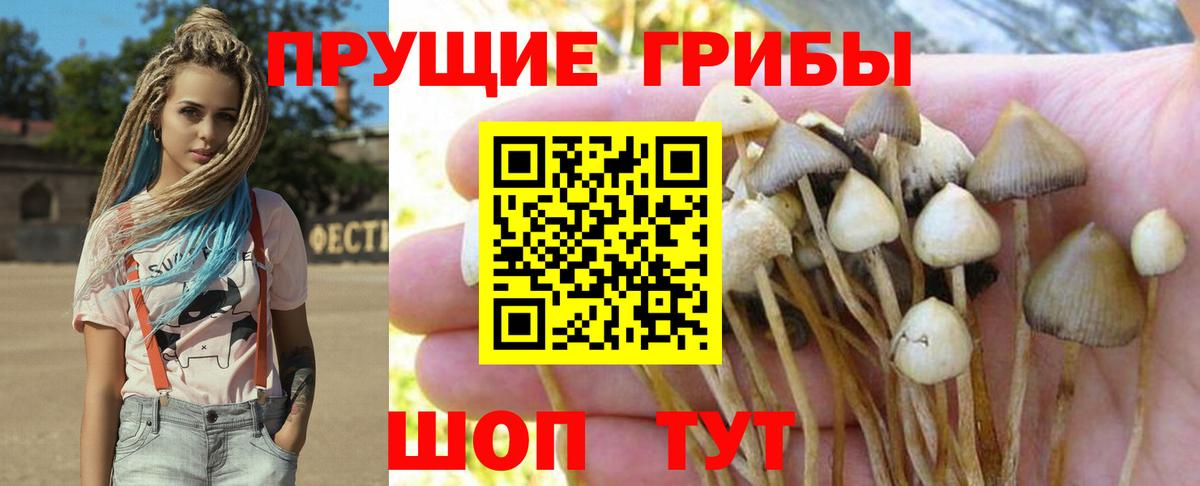 Тамбов  Псилоцибиновые грибы мухоморы  Вход с VPN 