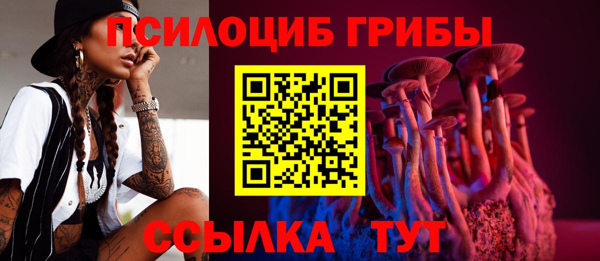 Галлюциногенные грибы Cubensis Тамбов