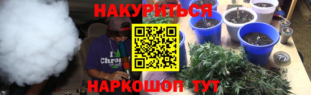 Марихуана ГИДРОПОН  Бошки марихуана White Widow  Марихуана Ganja  Тамбов  Вход с VPN  Шишки марихуана SATIVA & INDICA 